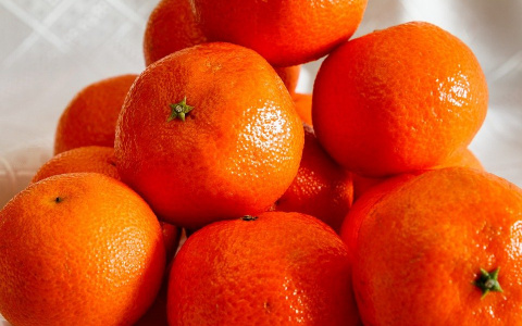 В завезенных из Турции в Россию мандаринах обнаружили опасное вещество