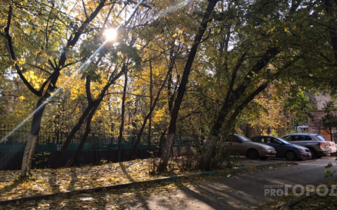 Стало известно, когда в Кирове снова станет тепло