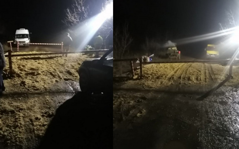 Кировчан призывают уничтожать яйца и мясо курицы из-за высокотоксичного птичьего гриппа