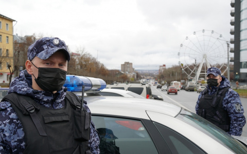 В Кирове росгвардейцы задержали похитительницу спиртных напитков