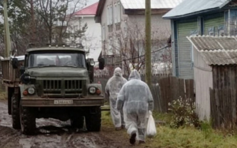 У жителей Зуевского района отбирают кур