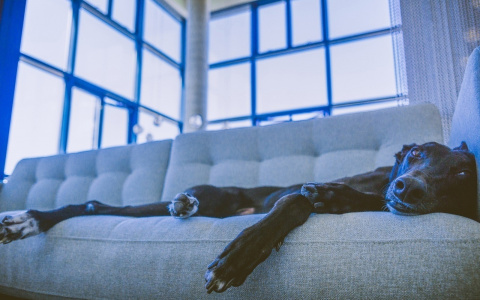 Водолеи напрягутся, а Тельцы «спустятся с небес»: гороскоп на среду