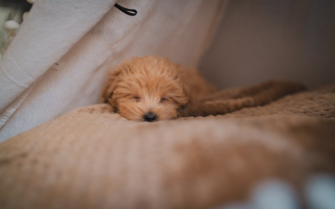 Близнецам понадобится «помощь зала», а Раки изменят все: гороскоп на четверг