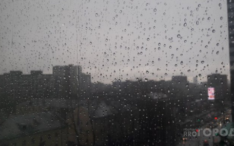 Кировчан ждут дождливые выходные: прогноз погоды