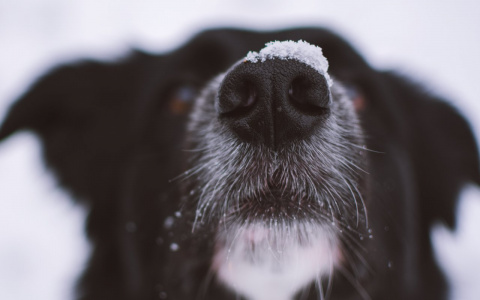 Спокойствие, только спокойствие: 5 знаков, для которых неделя пройдет как на иголках