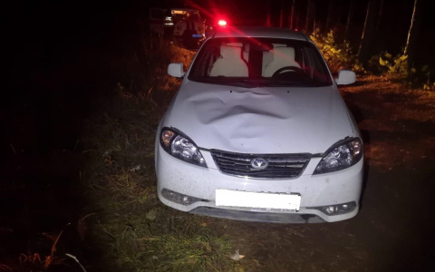 В Кировской области водитель на иномарке насмерть сбил женщину