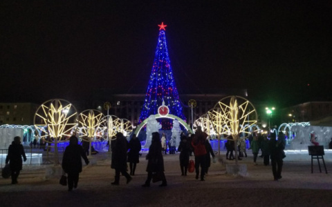 Кировчане встретят Новый год с двумя елями за 197 тысяч рублей