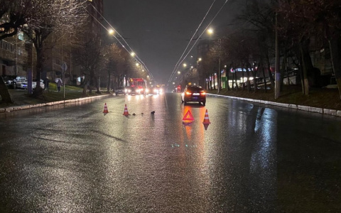 В Кирове на Ленина водитель иномарки насмерть сбил пенсионера