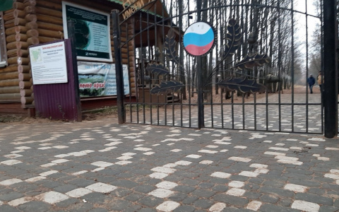 Sеgezha Group благоустроила территорию  Дендрологического парка в Кирове