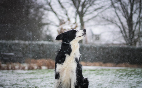 Раки найдут «тихую гавань», а Рыбам лучше помолчать: гороскоп на четверг