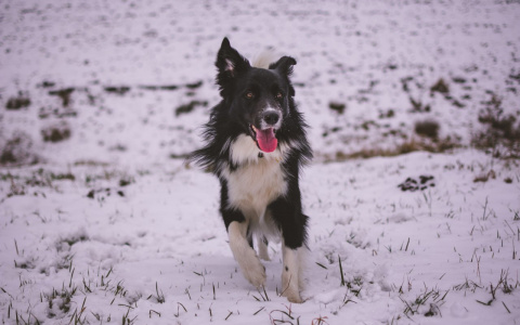 Весы уйдут из дома, а Девы «потеряют равновесие»: гороскоп на выходные