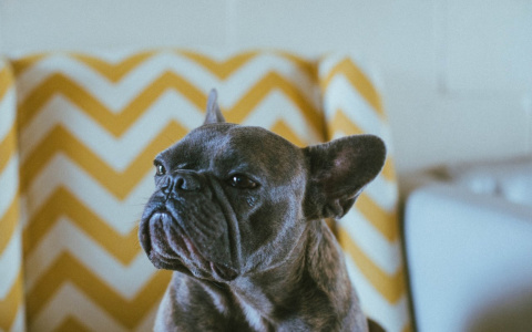 Овны уединятся, а Тельцам придется «повоевать»: гороскоп на воскресенье