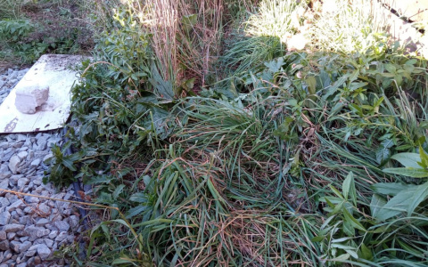 В Кировской области неизвестные сливают отходы на почву и загрязняют окружающую среду