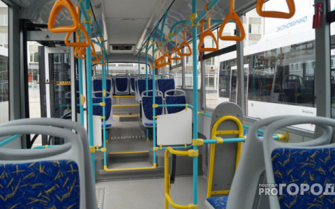 В Кирове комфортный общественный транспорт отметили «снежинками»