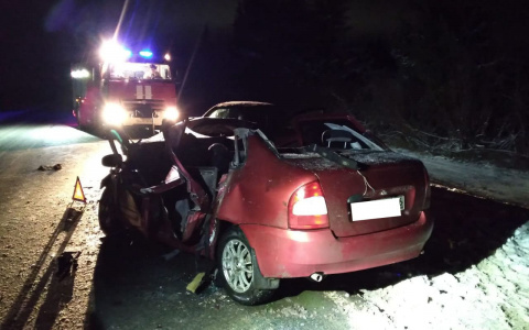 В Кировской области ДТП на трассе унесло жизни двух человек