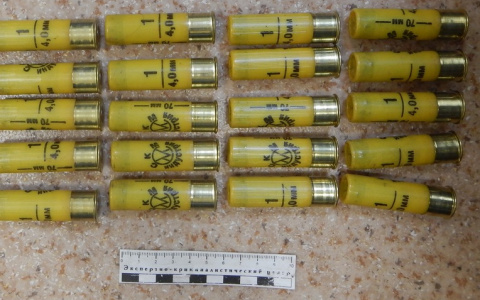 На кировском вокзале задержали мужчину с патронами в сумке