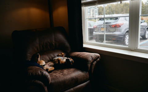 Тельцы останутся ни с чем, а Козерогов ждет что-то особенное: гороскоп на четверг