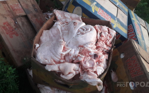 В магазине Кировской области продавали цыплят без документов и хранили тухлое мясо