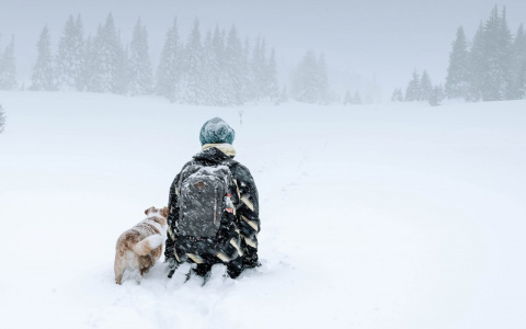 Львам дадут важный урок, а Тельцы окажутся в одиночестве: гороскоп на воскресенье