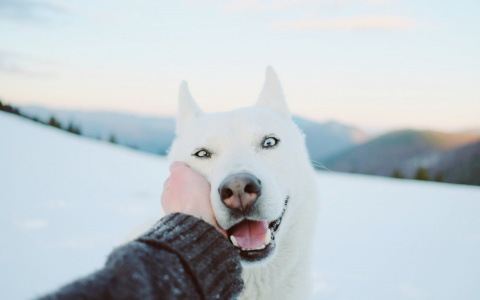 Девы начнут все сначала, а Весы проявят агрессию: гороскоп на вторник
