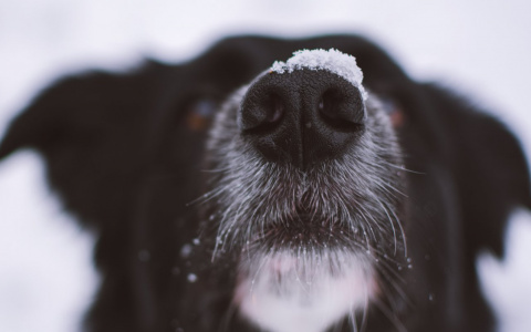 Овнов будут провоцировать, а Тельцы замкнутся в себе: гороскоп на четверг