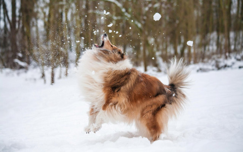 Рыбам будет не до шуток, а Тельцы заслужат уважение: гороскоп на пятницу