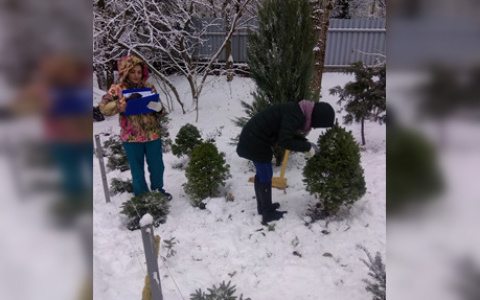 В кировском Ботаническом саду могут появиться пасека и фотозона