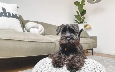 Скорпионы окажутся в центре событий, а Рыбы сорвут куш: гороскоп на четверг