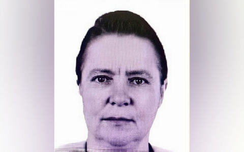 Пропавшую полгода назад кировчанку начали искать следователи