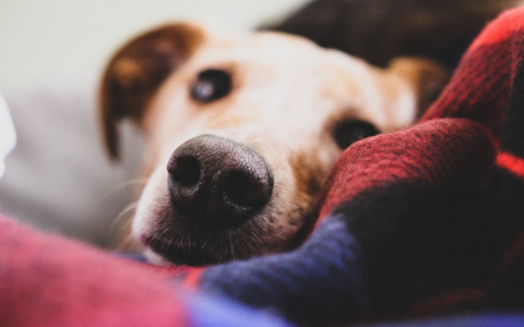 Названы 4 знака, которые столкнутся с испытаниями в эти выходные