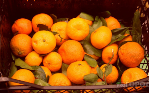 В Киров привезли 16 тонн зараженных мандаринов