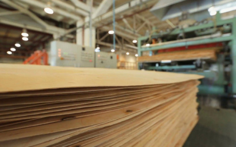 В Кировской области рабочего затянуло в деревообрабатывающий станок