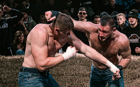 Wink в прямом эфире покажет бои TOP DOG