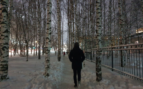 Синоптики рассказали о предстоящей погоде в Кирове на 18 и 19 декабря