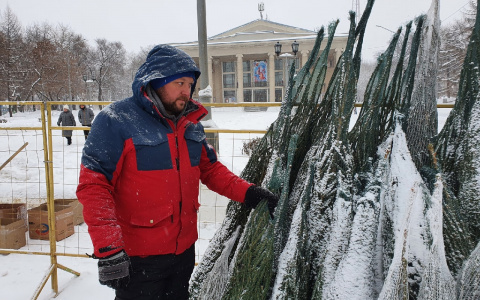 «Иногда прохожие пытаются мимоходом прихватить елочку»: кировский продавец елей о работе и ценах