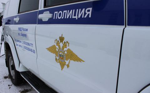 В Кирове на пенсионерку напал только вышедший из тюрьмы мужчина