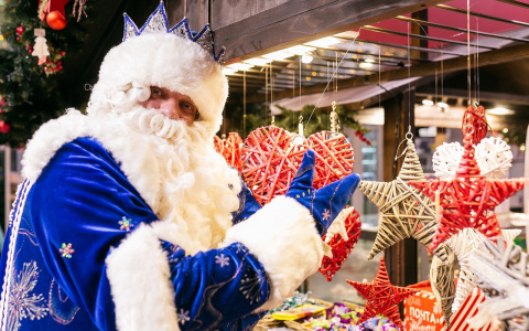 Кировчане составили рейтинг новогодних подарков в год Тигра*