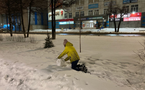 В последние выходные 2021 года Киров заметет снегом: прогноз погоды