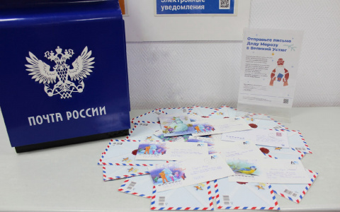 Алмазная картина и котята: что кировские дети попросили в письме у Деда Мороза