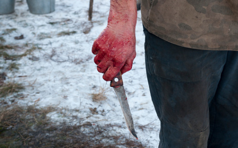 В Кирове гость во время ссоры зарезал хозяина квартиры
