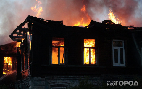 Благодаря кошке жителю Кировской области удалось спастись от пожара