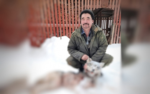 Житель Кировской области убил волка в своем огороде