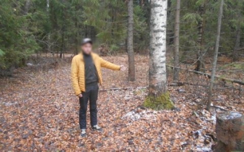 Кировских парней ждет суд: затолкали в багажник, избили и оставили умирать привязанного к дереву приятеля