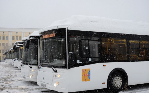 Кировскому перевозчику не хватает водителей, чтобы вывести на маршруты новые автобусы