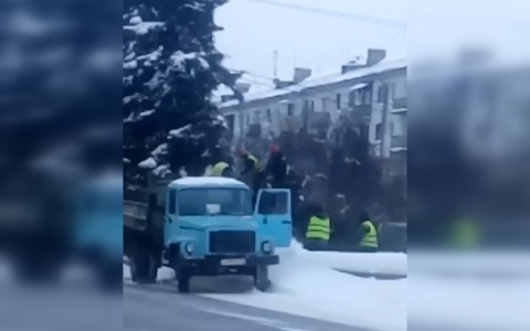 Кировчане возмущены вырубкой деревьев около ЦУМа