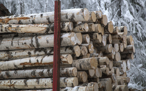 Segezha Group расширяет парк лесозаготовительной техники в Кировской области