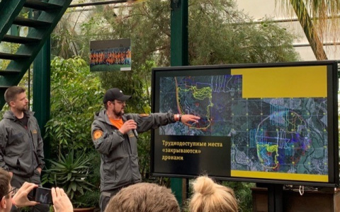 Оператор билайн запускает комплексное решение "Beeline AI – поиск людей" для спасательных операций в осенне-зимний период