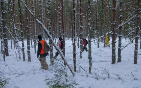В Кировской области за год пропали без вести 3085 человек