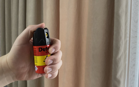 В двух школах Кирово-Чепецка дети пострадали от распыления газовых баллончиков