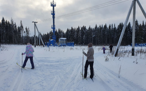 Идеальная зимняя погода: опубликован прогноз на неделю в Кировской области